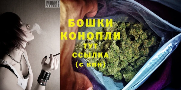 мяу мяу мука Белокуриха