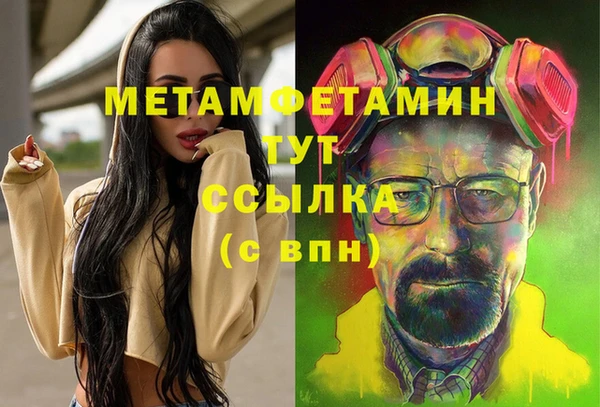 мяу мяу мука Белокуриха