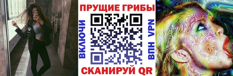 Псилоцибиновые грибы мицелий маркетплейс формула Кувандык